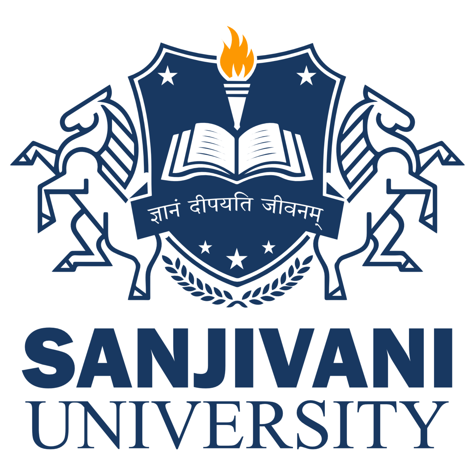 Sanjivani University